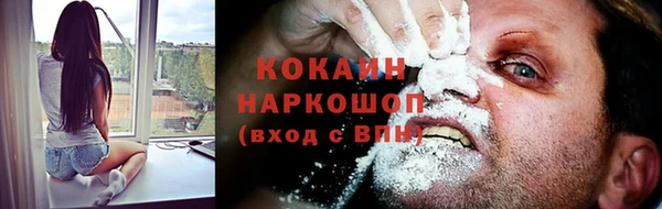 PSILOCYBIN Пересвет
