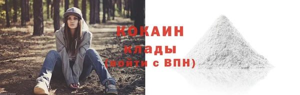 PSILOCYBIN Пересвет