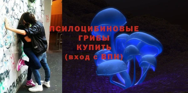 a pvp Пестово