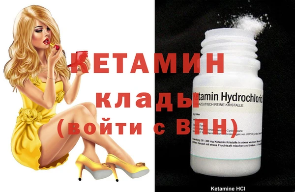 стаф Магас