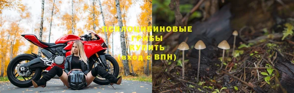 ALPHA PVP Осинники