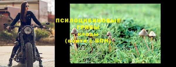 a pvp Гусев