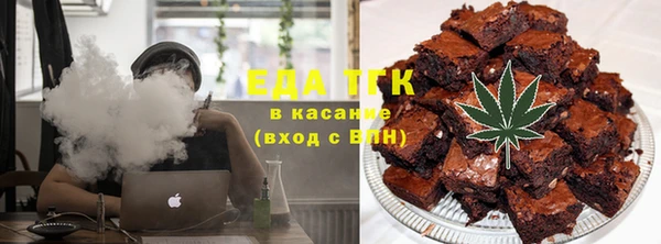 стаф Магас