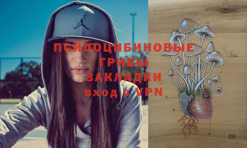 Галлюциногенные грибы MAGIC MUSHROOMS  где купить наркоту  Новосибирск 