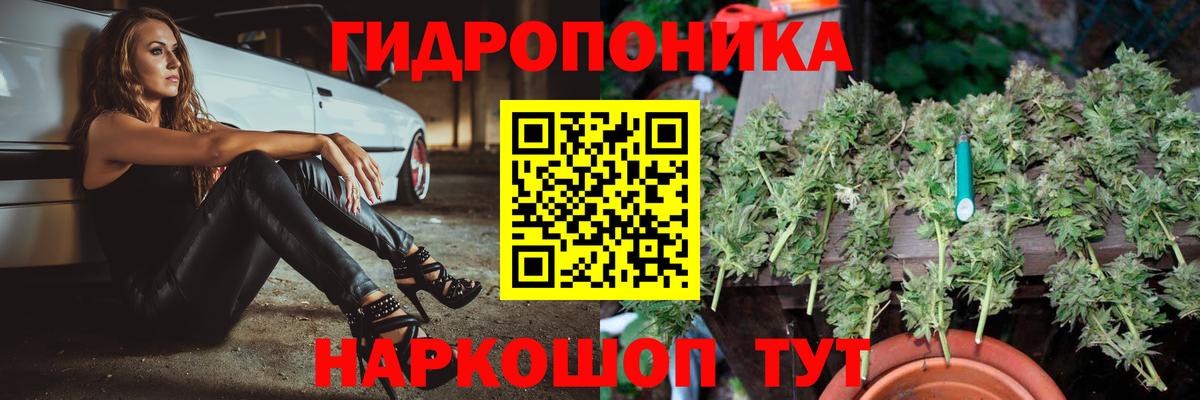 Шишки марихуана конопля  Вход с VPN  Конопля марихуана  МАРИХУАНА планчик  Каннабис конопля  Новосибирск 